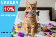 Скидка 10% на все игрушки. Скидка 10% на все игрушки.