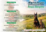 Акции месяца