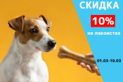 Скидка 10% на лакомства 