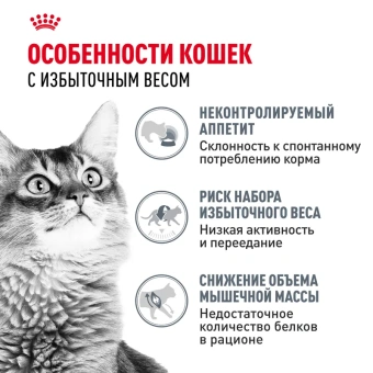 Лайт Вейт Кэа желе 28*85г
