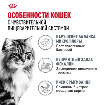 Дайджестив Кэа Кошка 0,4 кг