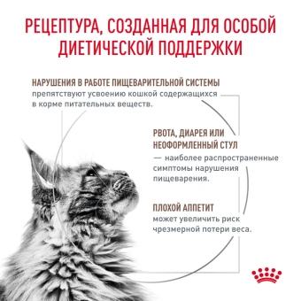 Гастро-интестинал (фелин) 1кг 
