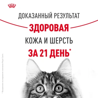 Хэйр Энд Скин Кэа Кошка 2 кг