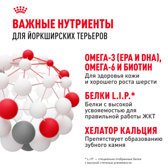 Йоркширский терьер  0.5 кг