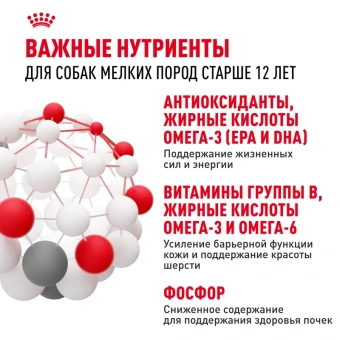 Мини Эйджинг 12+ соус 28*85г