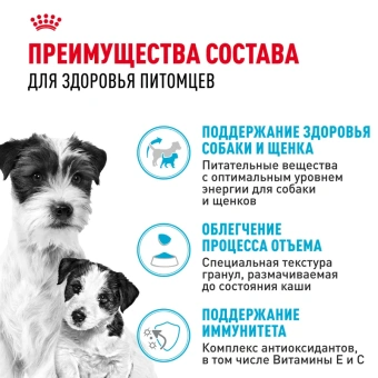 Мини Стартер цена за 1 кг (8,5кг)