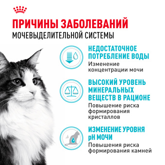 Уринари кэа 4кг (цена за 1кг)