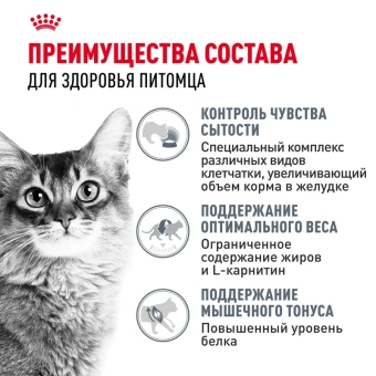 Лайт Вейт Кэа желе 28*85г