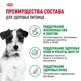 Мини Эйджинг 12+ соус 28*85г
