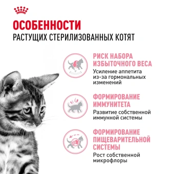 Киттен Стерилайзд 2кг