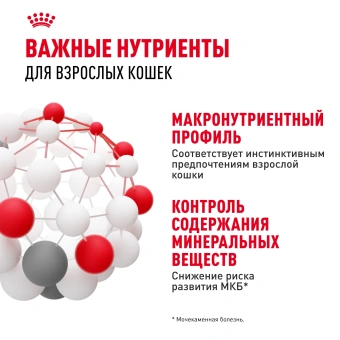 Инстинктив (желе) 28*0,085 кг