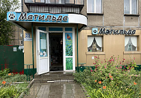 Ул. Оранжерейная, 33