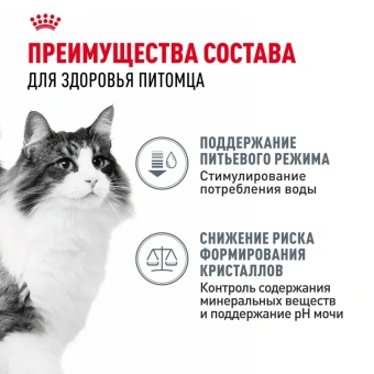 Уринари Кэа соус 28*85г