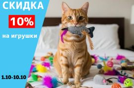 Скидка 10% на все игрушки. 