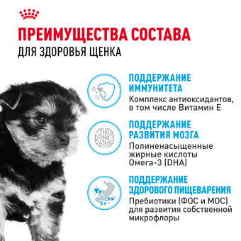 Йоркширский Терьер Паппи 0,5 кг