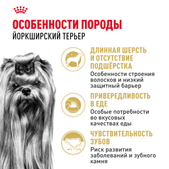 Йоркширский терьер  0.5 кг