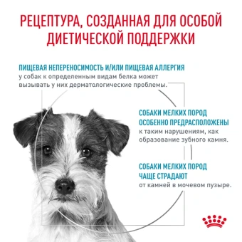 Гипоаллердженик смол дог 3,5 кг (цена за 1кг) 