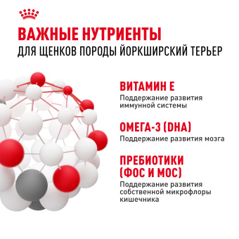 Йоркширский Терьер Паппи 0,5 кг
