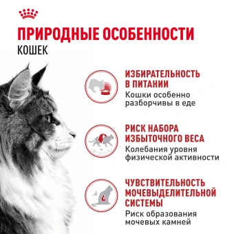 Инстинктив (желе) 28*0,085 кг