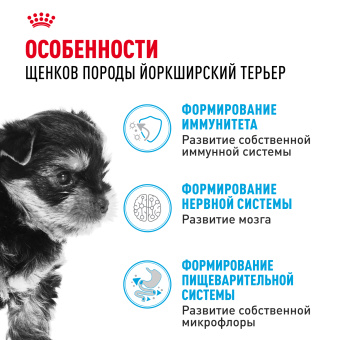 Йоркширский Терьер Паппи 0,5 кг