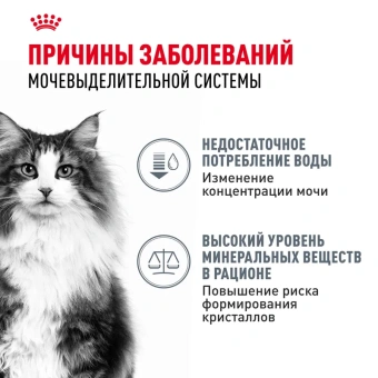 Уринари Кэа соус 28*85г