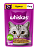 Виск рагу для кош 7+ Курица