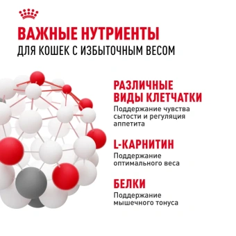 Лайт Вейт Кэа желе 28*85г