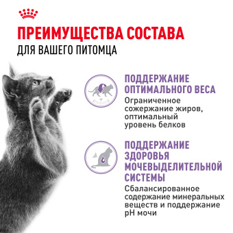 Стерилайзд в желе 0,085кг