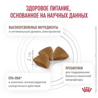 Гастро-интестинал (фелин) 1кг 