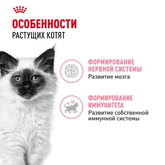 Киттен желе пауч 0,085 кг