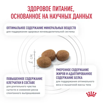 Ньютрид Сетаети Бэлэнс 1,5кг АКЦИЯ