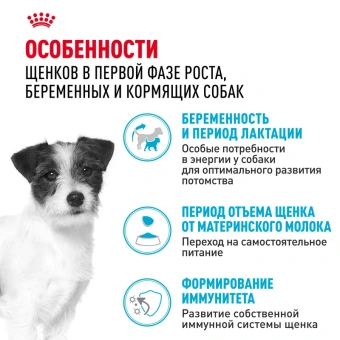 Мини Стартер цена за 1 кг (8,5кг)