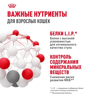 Индор стерилайзд желе 28*85г
