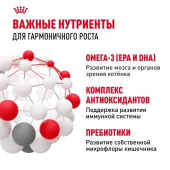 Киттен Акция цена за 1кг (13)
