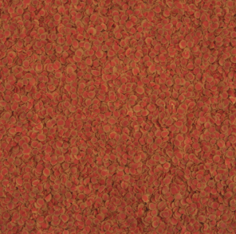 Tetra Pro Color Crisps 1шт чипсы д/усиления окраса рыб 10л
