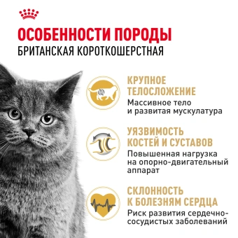 Британцы 2КГ