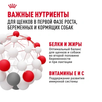 Мини Стартер цена за 1 кг (8,5кг)