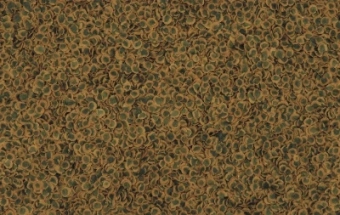 ТЕТРА КОРМ Д/РЫБ 1шт (PRO ALGAE) 10л