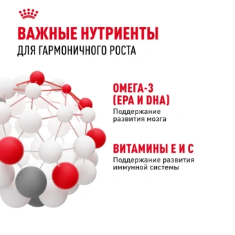 Киттен желе пауч 0,085 кг