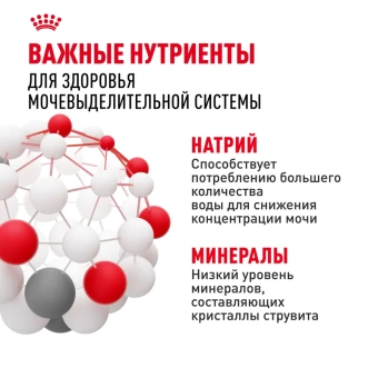 Уринари Кэа соус 28*85г