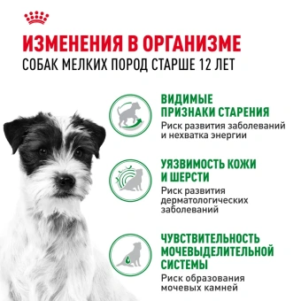 Мини Эйджинг 12+ соус 28*85г