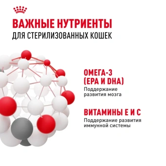 Киттен Набор 10шт пауч 85 гр 